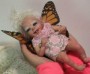Shasta Fairy Mini Baby Doll Kit