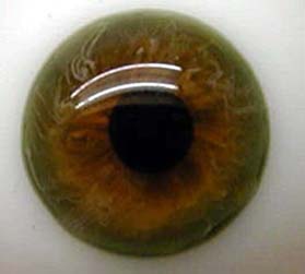 Green Topaz Blown Glass Eyes 24mm