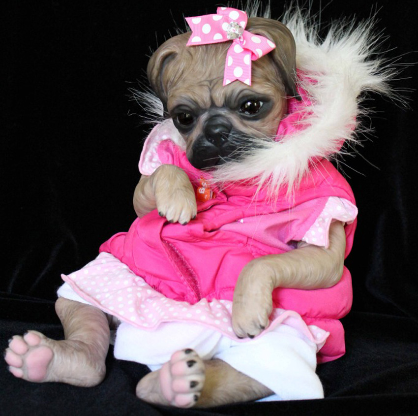 pug forum uk princess pug painted tinkerbellcreations co uk pug forum uk princess pug painted tinkerbellcreations co uk