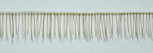 Light Brown Human Hair Clear Thread Reborn  Baby Lashes Strip