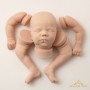 FELICITY ASLEEP SILICONE BABY DOLL BLANK KIT