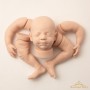 STEVEN ASLEEP SILICONE BABY DOLL BLANK KIT