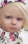 CLARA ROSE Toddler Doll Kit includes body.