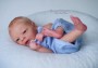 Darren AWAKE Realborn