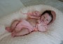 LAVENDER AWAKE -Realborn