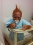 Reborn Max The Orangutan Monkey