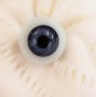 Newborn Baby Blue Human Eyes Full Round