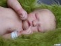 OWEN ASLEEP Realborn