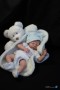 Zachy 9.5'' Mini Baby Doll Kit