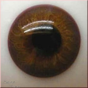 Baby Brown Half Round Designer Crystal Glass Eyes 24mm