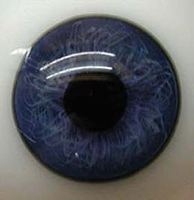 Dark Baby Blue Blown Glass Eyes 22Mm