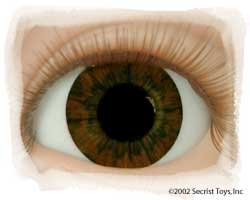 Dark Brown Acrylic Eyes