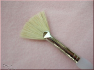 Fan Brush small