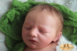 JAXSON SLEEPING - Realborn