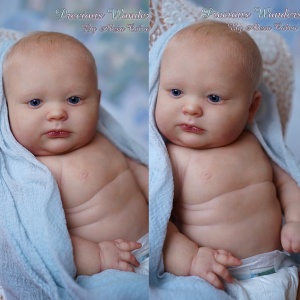 chubby reborn dolls