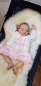 Reborn Baby Landon Asleep
