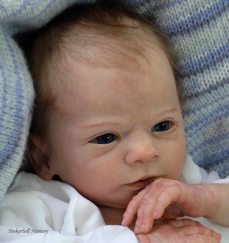 clyde awake reborn kit