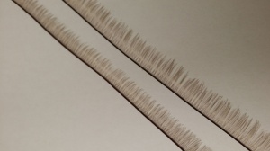 Light Brown Acrylic Lash Strip