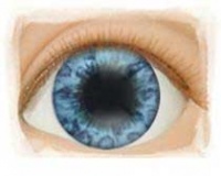 Beautiful Blue Acrylic Eyes