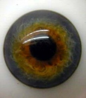 Blue Topaz Blown Glass Eyes 20mm