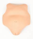 20'' BLICK ANATOMICAL TUMMY / BELLY PLATE