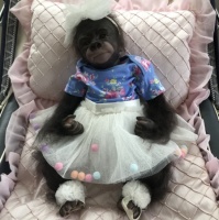 Reborn Monkey Gorilla Kiwi