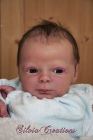 sweet pea awake reborn kit